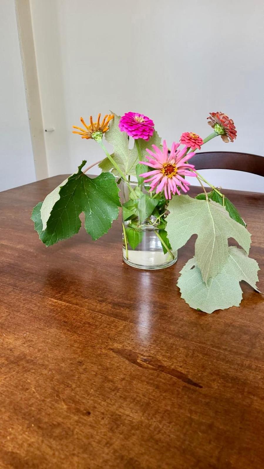 多莫多索拉Antica Casa Storica Con Giardino公寓 外观 照片