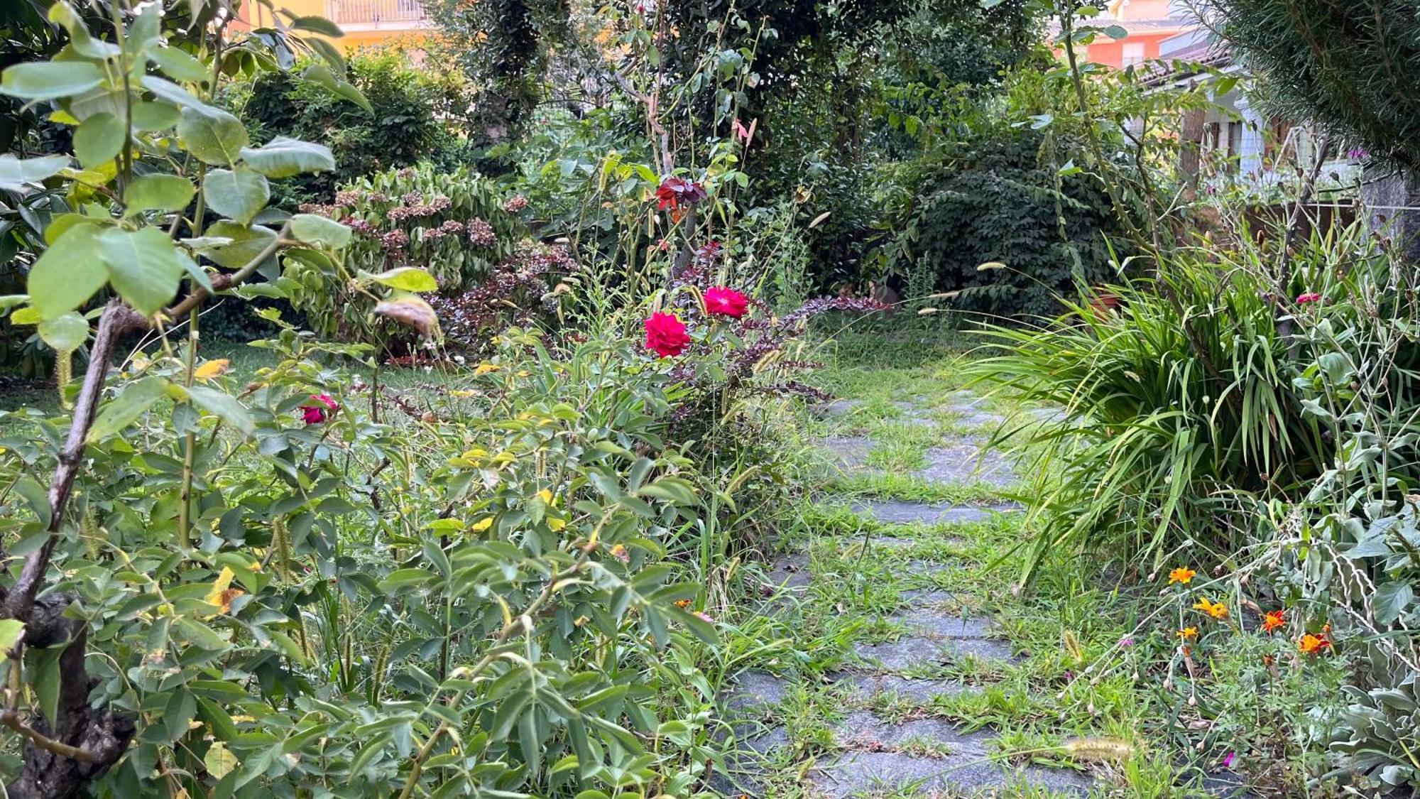 多莫多索拉Antica Casa Storica Con Giardino公寓 外观 照片